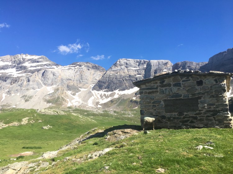 Bergerie au sommet de Troumouse