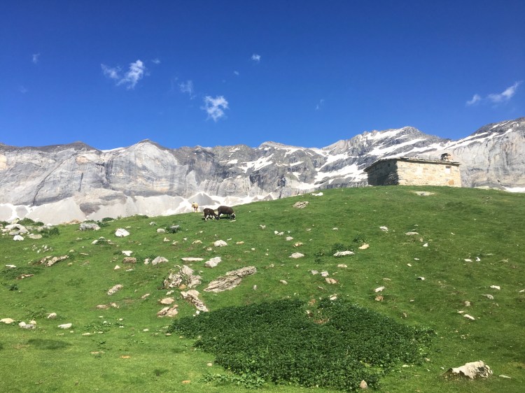 Chalet de berger à Troumouse