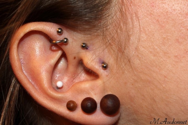 Piercing conch, anti-hélix, surface tragus rainbow et runlight