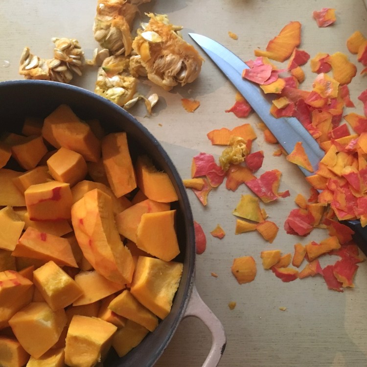 Préparation purée de courge rainbow&amp;runlight